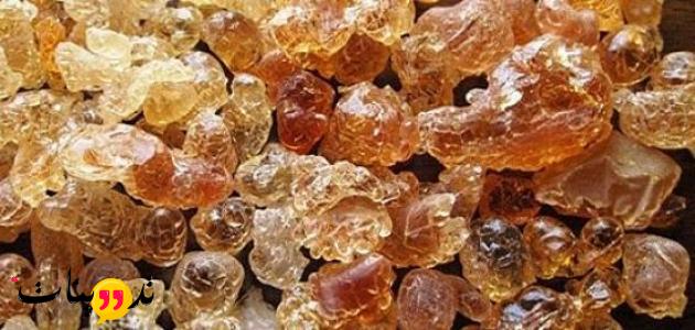 تجربتي مع الصمغ العربي للبشرة يمكنك التعرف على مدى فائدة الصمغ للبشرة و طريقة أستخدامه