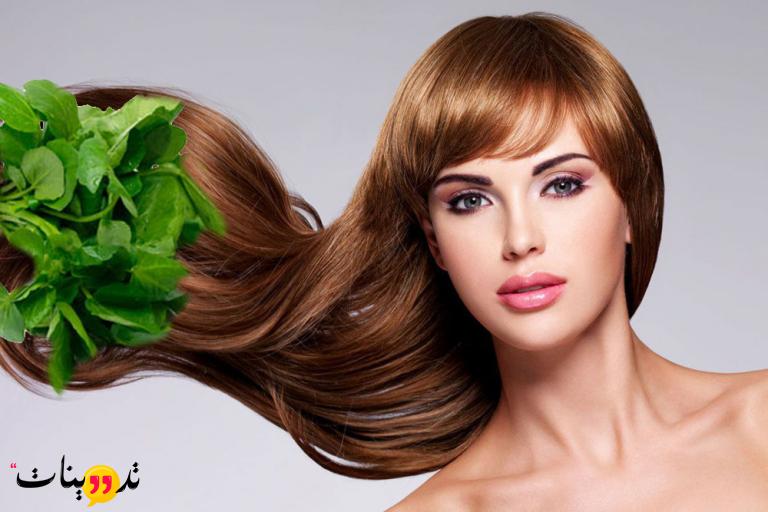 الجرجير والثوم للشعر تجربتي حيث ستتمكن من أعداد الخليط المناسب للشعر و تحقيق الفوائد