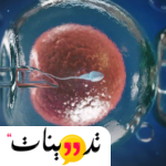 تجربتي مع الجوهرة المطوع