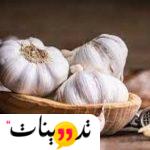 فوائد الثوم على الريق فص صباحاً يصنع ٣١ معجزة بجسمك