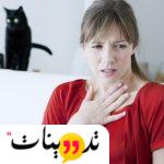 قطط لا تسبب الحساسية