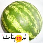 حديث الرسول عن البطيخ للحامل