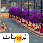 الاماكن السياحية في أبها للعوائل