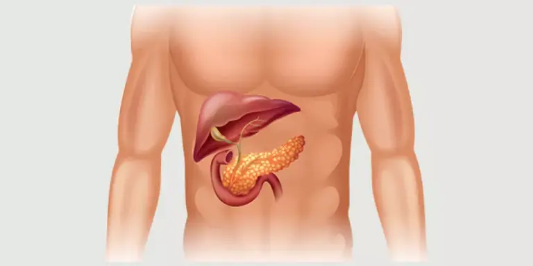 ما هو البنكرياس وكيف اعرف ان عندي مشكله في البنكرياس؟